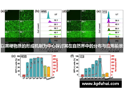 以黑硬物质的形成机制为中心探讨其在自然界中的分布与应用前景